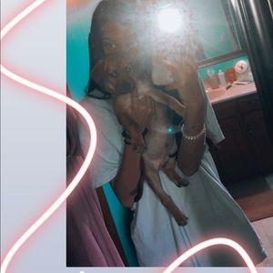 Meet your Posher, Bella